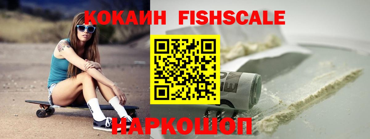 Cocaine Fish Scale Великий Устюг