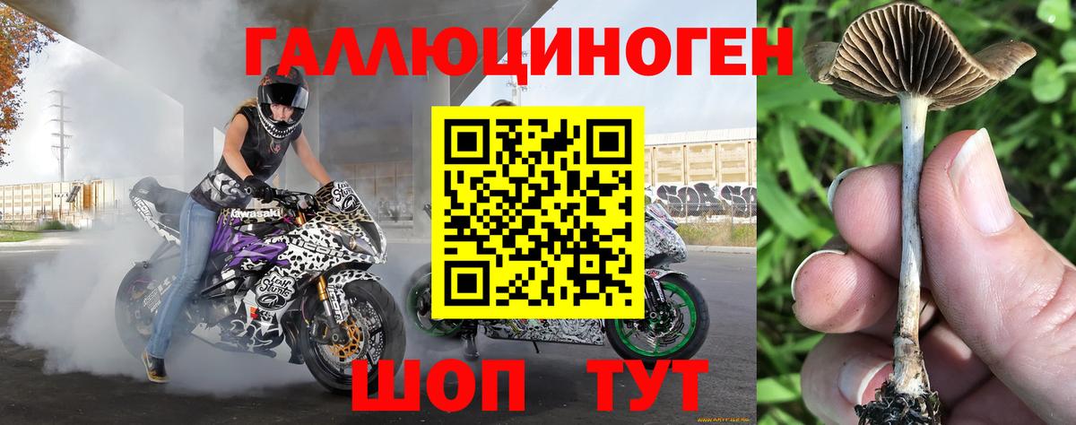 Галлюциногенные грибы мухоморы  Вход с VPN  Великий Устюг 